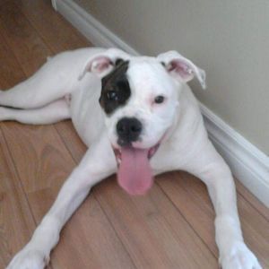 Meet your Posher, Michelle